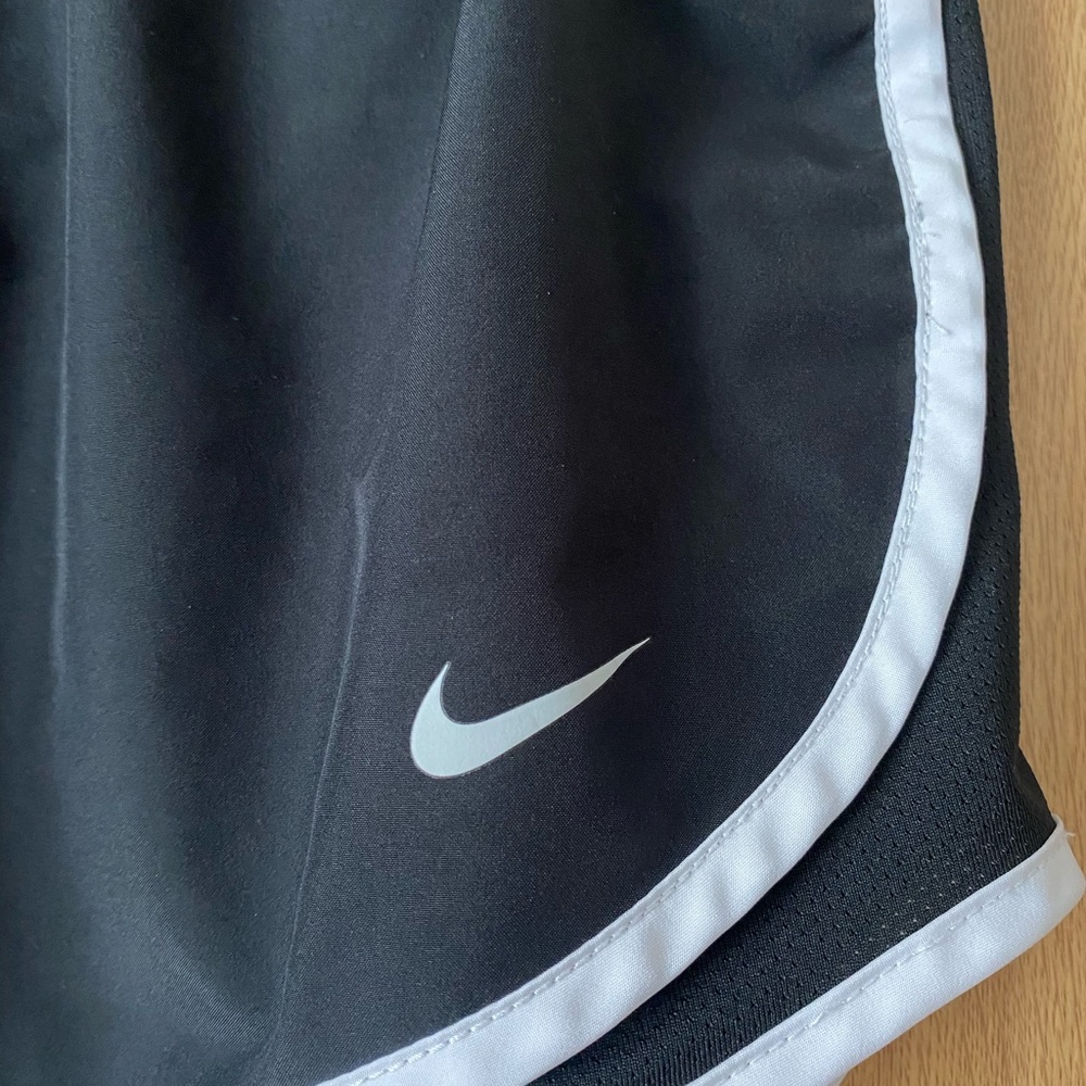 Nike Dri-Fit Shorts View 3